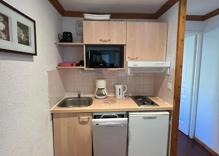 Appartement Montagne 4 Pers, Balcon Et Piscine - Fr-1-814-162 *